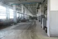 Manufacture 22 306 m² in Orsha, Belarus