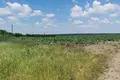 Land 2 940 m² Tiszacsege, Hungary