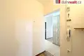 Wohnung 45 m² Neuhaus, Tschechien