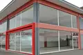 Commercial property 450 m² in Nea Chrani, Greece