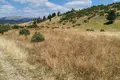 Land  Zabljak, Montenegro