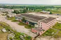 Manufacture 3 373 m² in Dobrush, Belarus