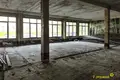 Commercial property 2 547 m² in Nyasvizh, Belarus