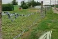 Działki  Znamienski sielski Saviet, Białoruś