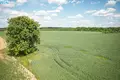 Земельные участки  Rasnava, Литва