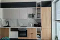 2 room apartment 60 m² Minsk, Belarus