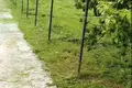 Atterrir  Baraulianski sielski Saviet, Bélarus