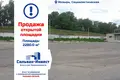 Commercial property 2 280 m² in Mazyr, Belarus