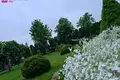House 281 m² Alksniai, Lithuania