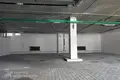 Warehouse 1 room 470 m² in Minsk, Belarus
