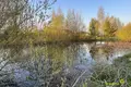 Land  Dziamidavicki sielski Saviet, Belarus