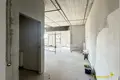 3 room apartment 105 m² Vialikaje Sciklieva, Belarus
