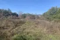Квартира 1 016 м², Все страны