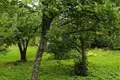 Działki  Anninskoe gorodskoe poselenie, Rosja