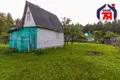 Дом 35 м² Нарочанский сельский Совет, Беларусь
