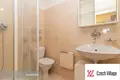 1 bedroom apartment 22 m² Chyne, Czech Republic