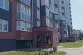 1 room apartment 20 m² Fanipal, Belarus