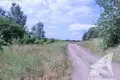 Działki  Znamienski sielski Saviet, Białoruś