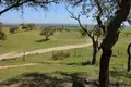 Land  Setúbal, Portugal