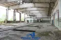 Warehouse 29 515 m² in Liebiedzieuski sielski Saviet, Belarus