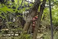 Grundstück 800 m² Sokolskoje, Russland