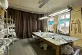 Gewerbefläche 12 zimmer 120 m² in Stankava, Belarus