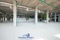 Commercial property 200 m² in Minsk, Belarus