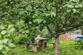 Дом 73 м² Васильевка, Беларусь