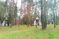 Commercial property 575 m² in Dauhinauski sielski Saviet, Belarus