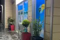 Commercial property 30 m² in Tirana Municipality, Albania