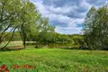Działki  Ozyaritska Slabadski rural council, Białoruś