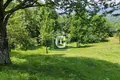 Atterrir 1 313 m² Kolašin, Monténégro