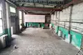 Produktion 1 285 m² in Zarecca, Belarus