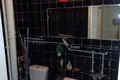 1 room apartment 35 m² Warsaw, Poland