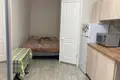 Apartamento 1 habitación 17 m² Odesa, Ucrania