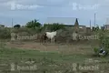 Особняк 2 комнаты 35 м² Ранчпар, Армения