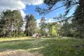 Atterrir  Pliescanicki sielski Saviet, Bélarus