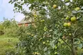 Дом 181 м² Усяжский сельский Совет, Беларусь