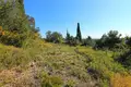 Land 1 room 4 100 m² Pelekas, Greece