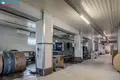 Gewerbefläche 1 731 m² Girngallen, Litauen