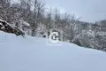 Land  Kolasin, Montenegro