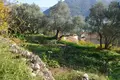 Land 9 000 m² durici, Montenegro