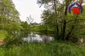 Дом 35 м² Нарочанский сельский Совет, Беларусь