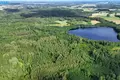 Land  Petrauskai, Lithuania