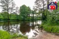 Dom 35 m² Naracanski sielski Saviet, Białoruś