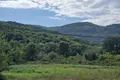 Land 1 bedroom 2 000 m² in Radanovici, Montenegro