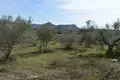 Land 5 980 m² Peloponnese Region, Greece