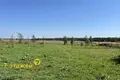 Ferienhaus 150 m² Turynski sielski Saviet, Belarus