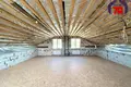 Dom 130 m² Krasnadvorski sielski Saviet, Białoruś