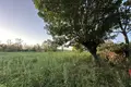 Parcelas , Georgia